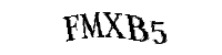 Enter the characters below