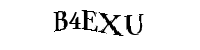 Enter the characters below