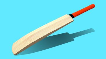 Cricket Bat Hand Carved